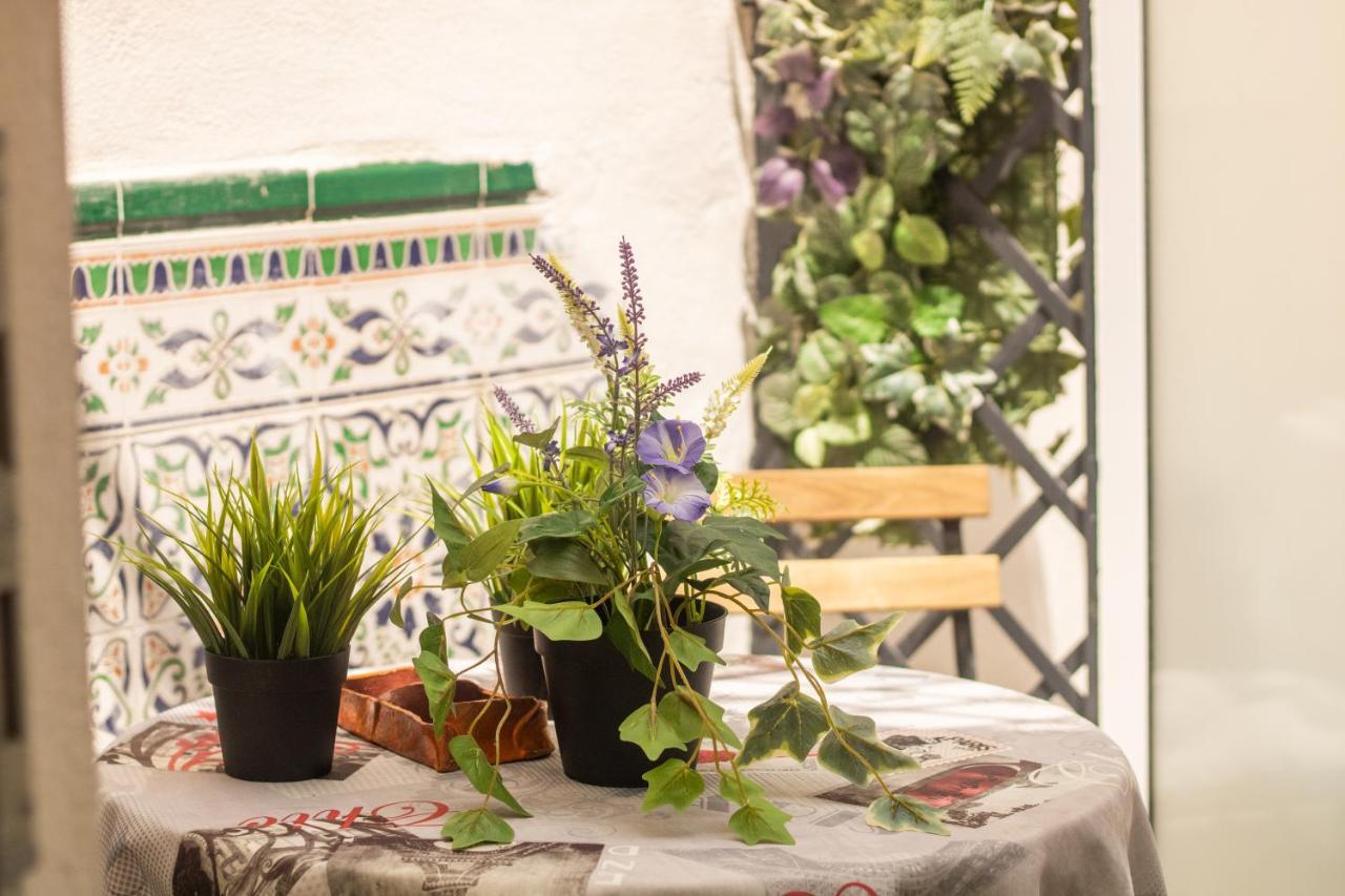 Malaguena Salerosa "Apartamento - Estudio Con Terraza" En Casa Tipica De 1 A 4 Dormitorios Málaga Dış mekan fotoğraf