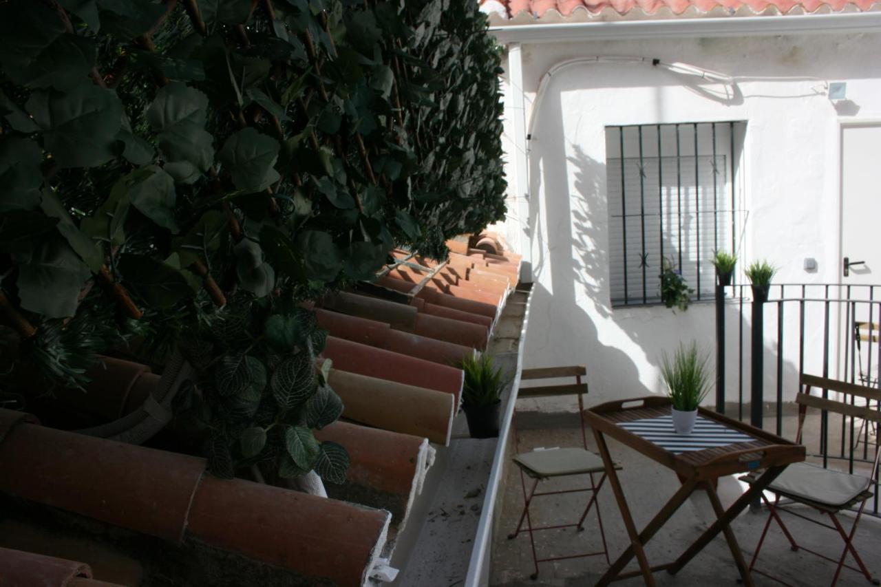 Malaguena Salerosa "Apartamento - Estudio Con Terraza" En Casa Tipica De 1 A 4 Dormitorios Málaga Dış mekan fotoğraf